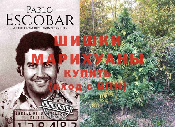 амф Абаза