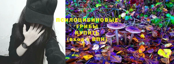 PSILOCYBIN Абдулино