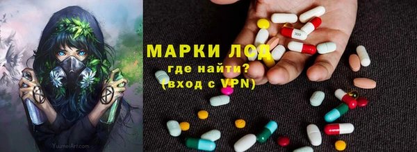 PSILOCYBIN Абдулино