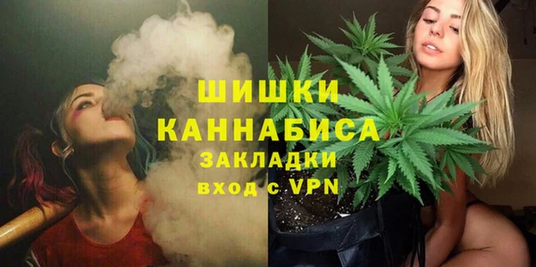 PSILOCYBIN Абдулино