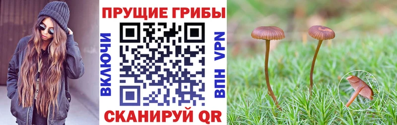 как найти закладки Агидель Галлюциногенные грибы Cubensis